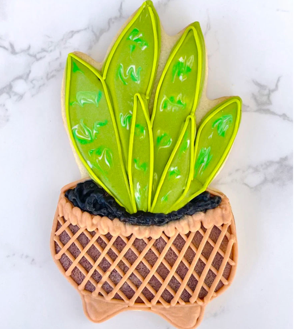 TROPICAL HOUSE PLANT Cookie Cutter, Ann Clark Cookie Cutter