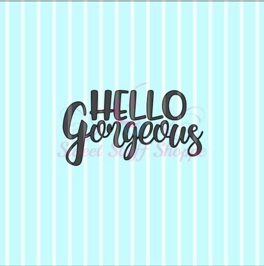 HELLO GORGEOUS, Silk Screen, Cookie Silk Screen, Silk Screen Cookie Stencil, Mesh Stencil, Cookie Stencil, Custom Silk Screen