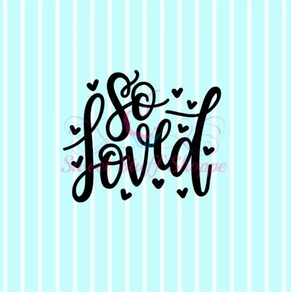 SO LOVED, Silk Screen, Cookie Silk Screen, Silk Screen Cookie Stencil, Mesh Stencil, Cookie Stencil, Custom Silk Screen